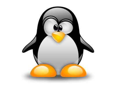 Linuxネットワークスループット改善